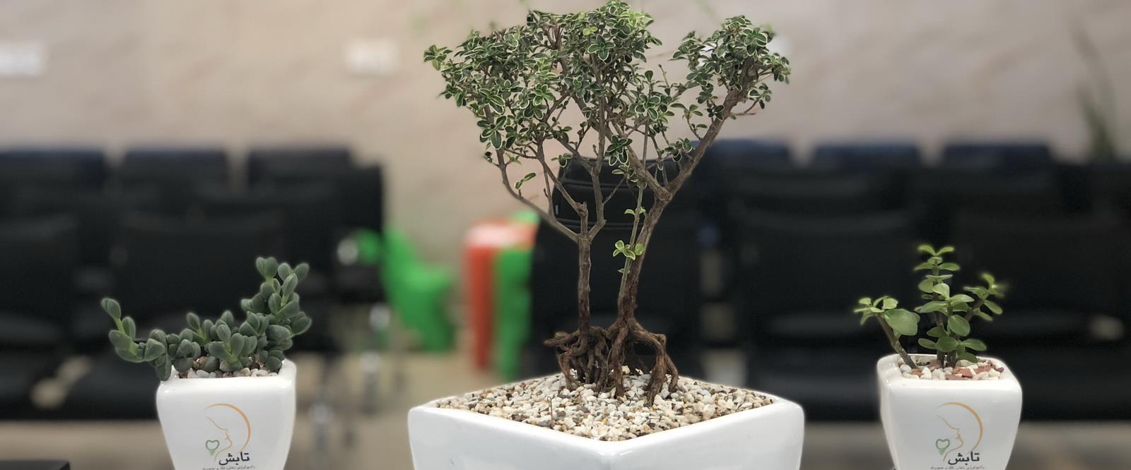 رادیولوژی تخصصی تابش
